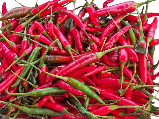 Quel pays mange le plus épicé ? Les cuisines qui réchauffent le cœur Quel pays mange le plus épicé ? Les cuisines qui réchauffent le cœur