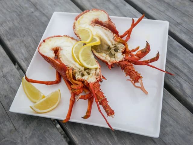 Langouste grillée plancha : la recette parfaite pour un festin réussi Langouste grillée plancha : la recette parfaite pour un festin réussi